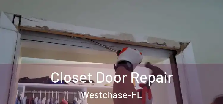  Closet Door Repair Westchase-FL