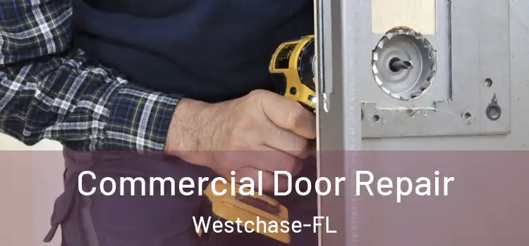  Commercial Door Repair Westchase-FL