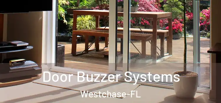  Door Buzzer Systems Westchase-FL