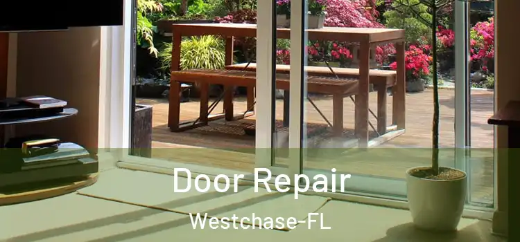 Door Repair Westchase-FL