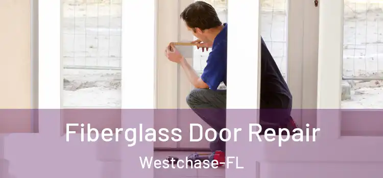  Fiberglass Door Repair Westchase-FL