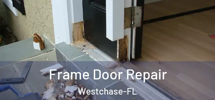  Frame Door Repair Westchase-FL