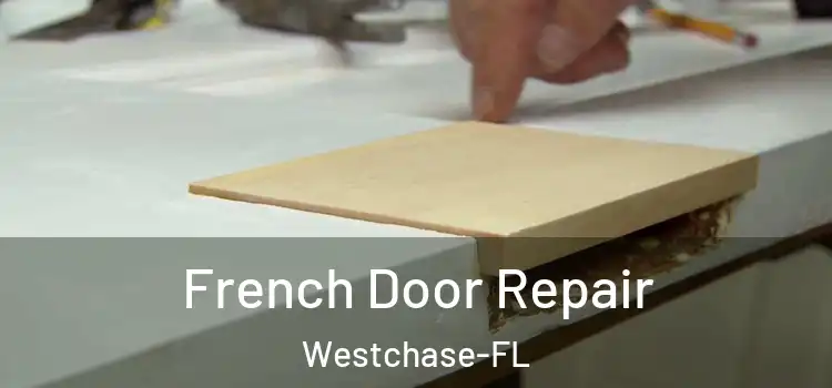  French Door Repair Westchase-FL