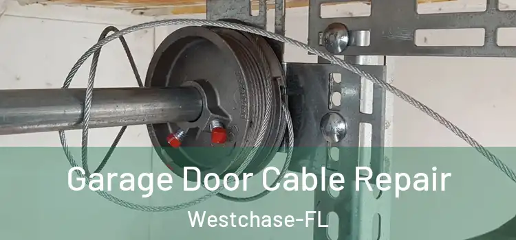  Garage Door Cable Repair Westchase-FL