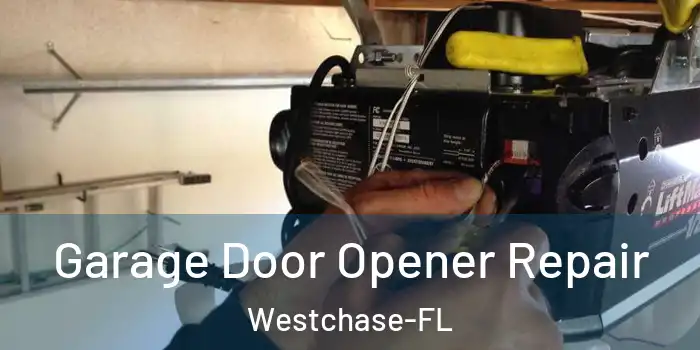  Garage Door Opener Repair Westchase-FL