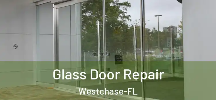 Glass Door Repair Westchase-FL