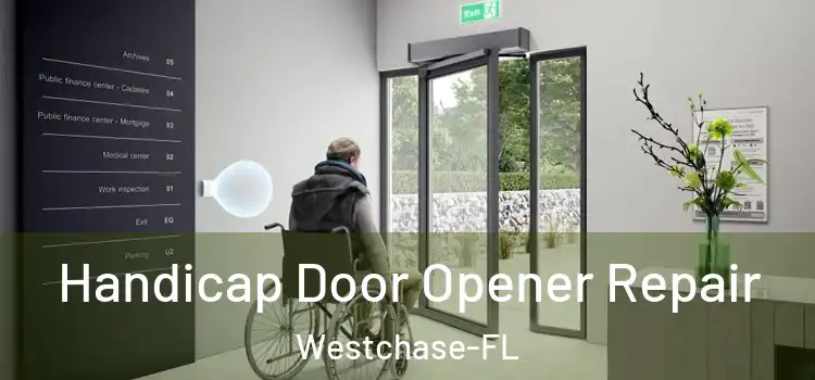  Handicap Door Opener Repair Westchase-FL