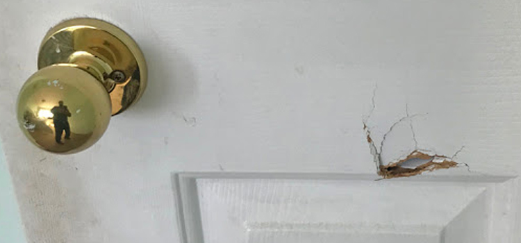 interior door hole repair Westchase