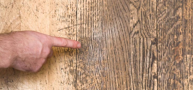 Wood Door Scratch Repair in Westchase