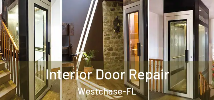  Interior Door Repair Westchase-FL