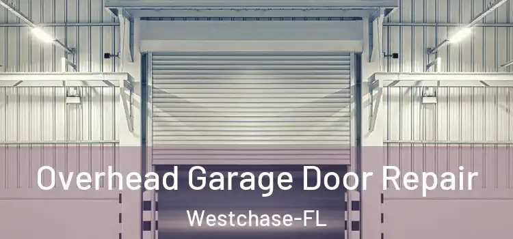  Overhead Garage Door Repair Westchase-FL