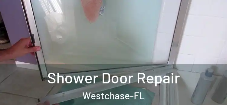  Shower Door Repair Westchase-FL