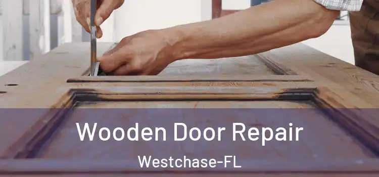  Wooden Door Repair Westchase-FL
